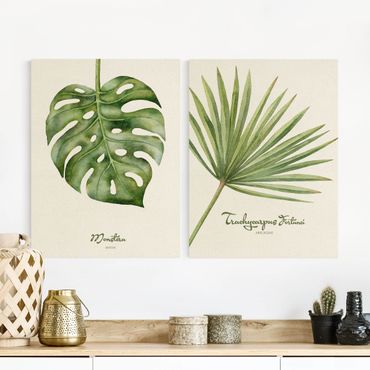 Impression sur toile - Watercolour Botany Duo
