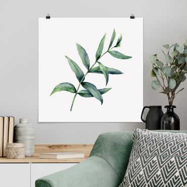 Poster - Waterclolour Eucalyptus l
