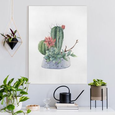 Tableau sur toile - Watercolour Cacti Illustration