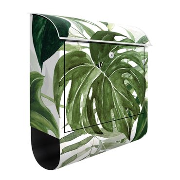 Letterbox - Watercolour Tropical Arrangement With Monstera
