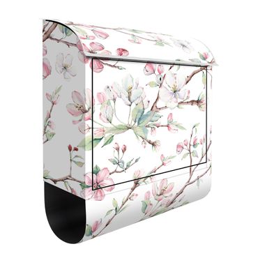 Letterbox - Watercolour Branches Of Apple Blossom In Light Pink And White