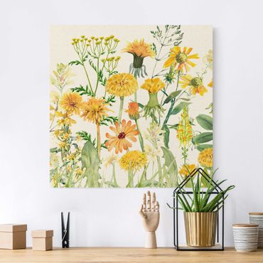 Tableau sur toile naturel - Watercolour Flower Meadow In Gelb - Carré 1:1