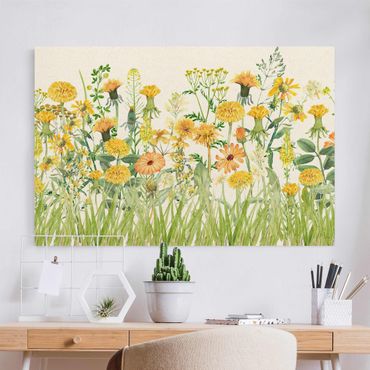 Tableau sur toile naturel - Watercolour Flower Meadow In Gelb - Format paysage 3:2