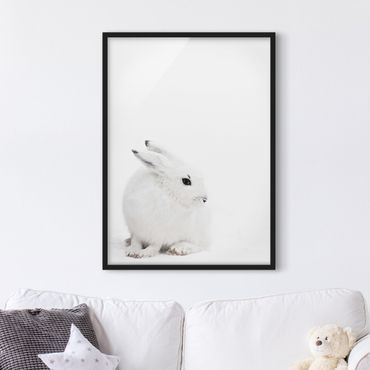 Framed poster - Arctic Hare