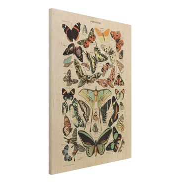 Impression sur bois - Vintage Board Butterflies And Moths