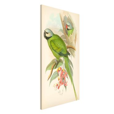 Tableau magnétique - Vintage Illustration Tropical Birds II