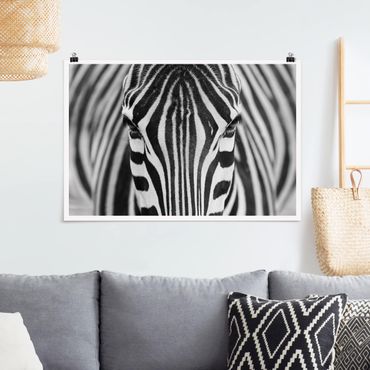 Poster - Zebra Look