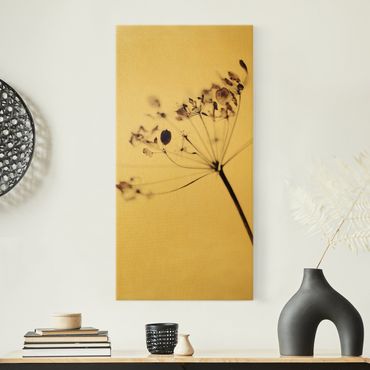 Tableau sur toile or - Macro Image Dried Flowers In Shadow