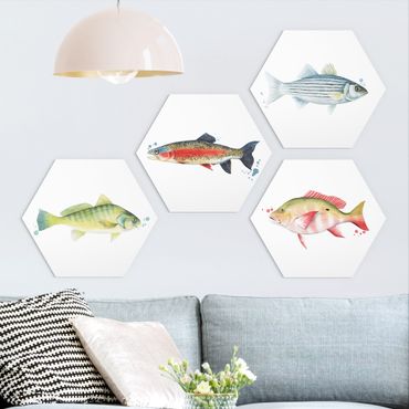 Hexagone en forex - Ink Trap - Fish Set I