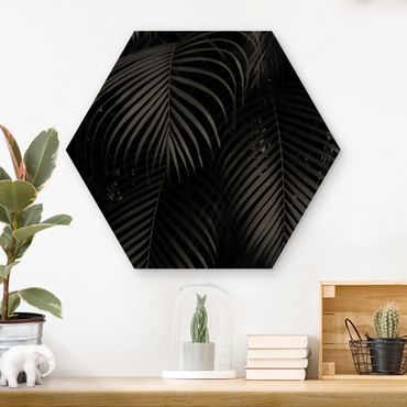 Hexagon Picture Wood - Black Palm Fronds