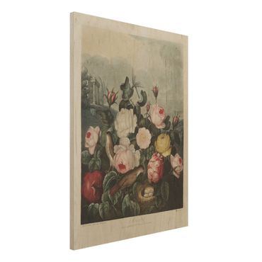 Impression sur bois - Botany Vintage Illustration Of Roses