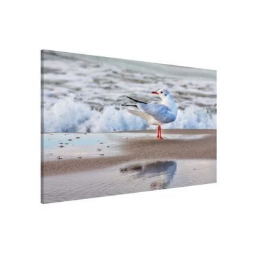 Tableau magnétique - Seagull On The Beach In Front Of The Sea