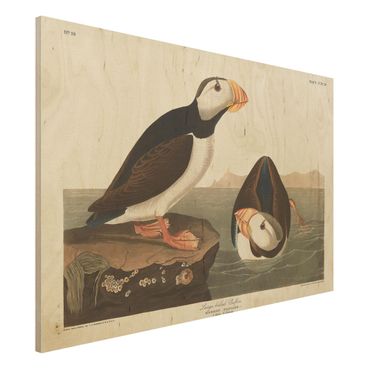 Impression sur bois - Vintage Board Puffin II