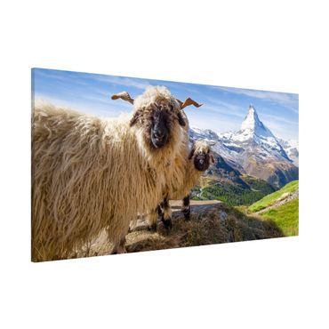 Tableau magnétique - Blacknose Sheep Of Zermatt
