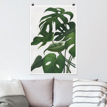 Poster fleurs - Favorite Plants - Monstera