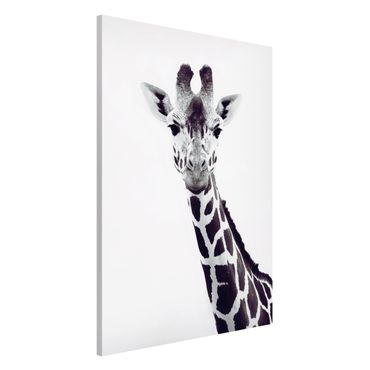 Tableau magnétique - Giraffe Portrait In Black And White
