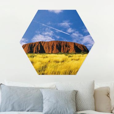 Hexagone en alu Dibond - Uluru