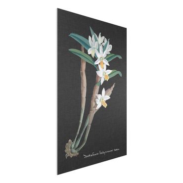 Impression sur forex - White Orchid On Linen I