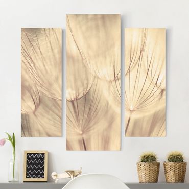 Impression sur toile 3 parties - Dandelions Close-Up In Cozy Sepia Tones