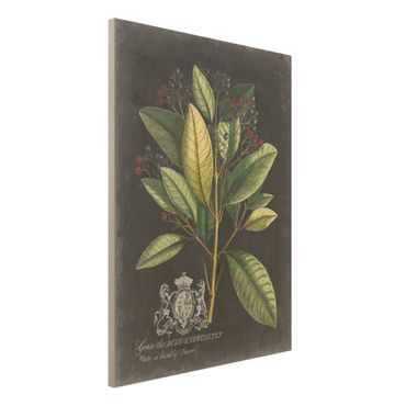 Impression sur bois - Vintage Royales Foliage On Black IV