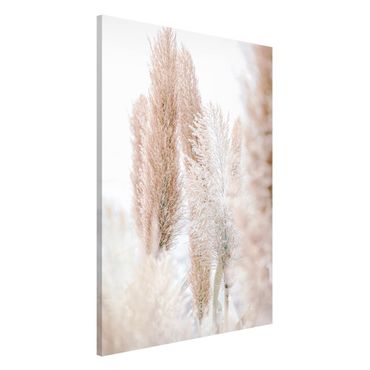 Tableau magnétique - Pampas Grass In White Light