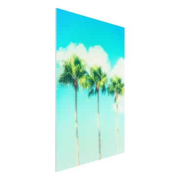 Impression sur forex - Palm Trees Against Blue Sky