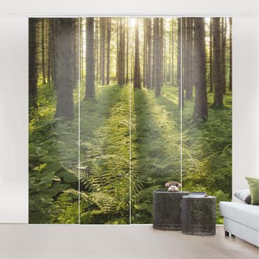 Set de panneaux coulissants - Sun Rays In Green Forest