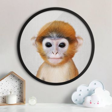 Tableau rond encadré - Baby Monkey Anton