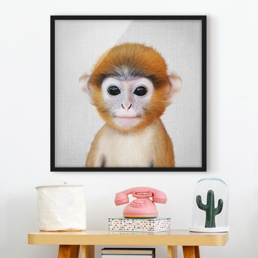 Poster encadré - Baby Monkey Anton