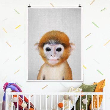 Poster reproduction - Baby Monkey Anton