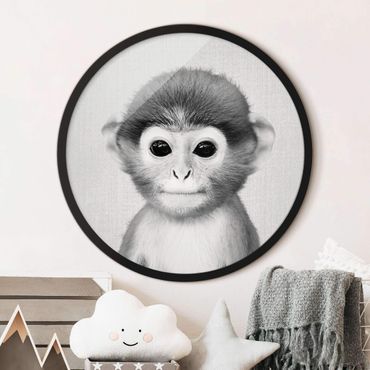 Tableau rond encadré - Baby Monkey Anton Black And White