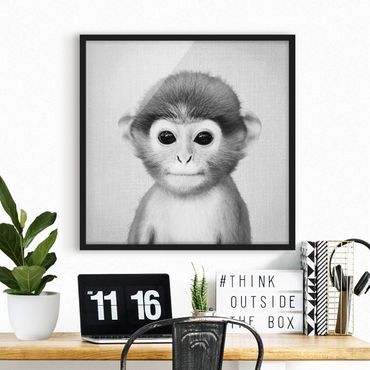 Poster encadré - Baby Monkey Anton Black And White
