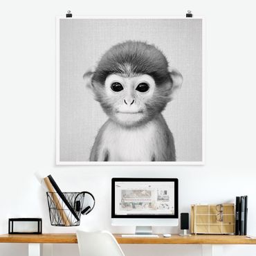 Poster reproduction - Baby Monkey Anton Black And White