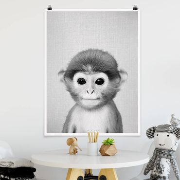 Poster reproduction - Baby Monkey Anton Black And White