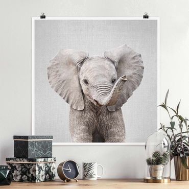 Poster reproduction - Baby Elephant Elsa