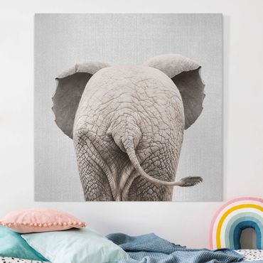 Tableau sur toile - Baby Elephant From Behind - Carré 1:1