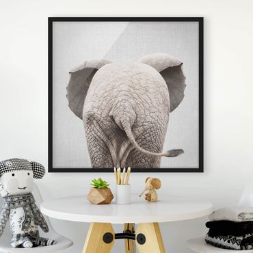 Poster encadré - Baby Elephant From Behind