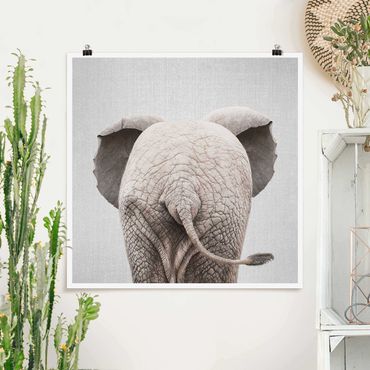 Poster reproduction - Baby Elephant From Behind