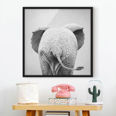 Poster encadré - Baby Elephant From Behind Black And White