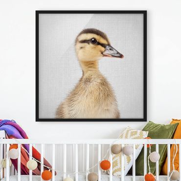 Poster encadré - Baby Duck Eddie