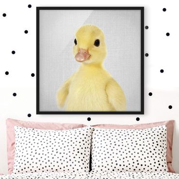 Poster encadré - Baby Duck Emma