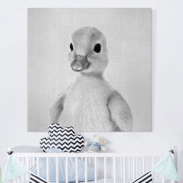 Tableau sur toile - Baby Duck Emma Black And White - Carré 1:1