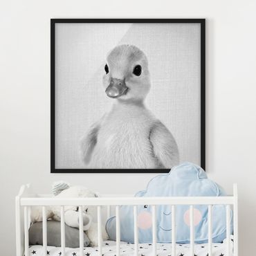 Poster encadré - Baby Duck Emma Black And White