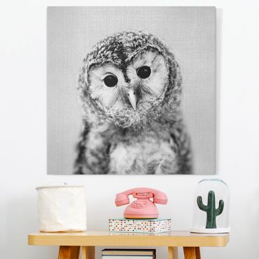Tableau sur toile - Baby Owl Erika Black And White - Carré 1:1