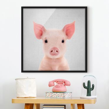 Poster encadré - Baby Piglet Fips