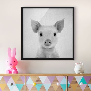 Poster encadré - Baby Piglet Fips Black And White