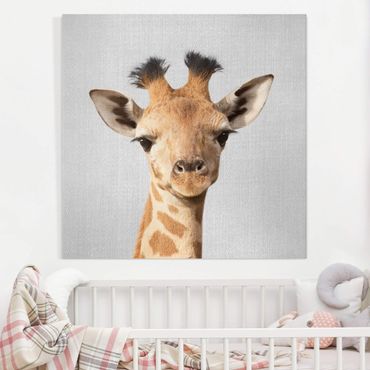 Tableau sur toile - Baby Giraffe Gandalf - Carré 1:1