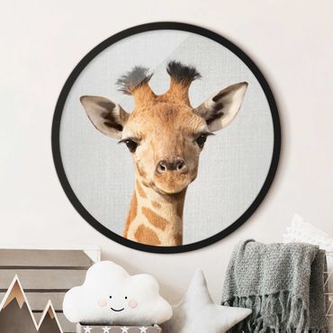 Tableau rond encadré - Baby Giraffe Gandalf