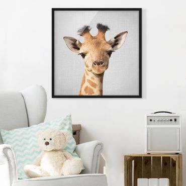 Poster encadré - Baby Giraffe Gandalf