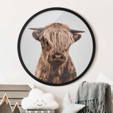 Tableau rond encadré - Baby Highland Cow Henri